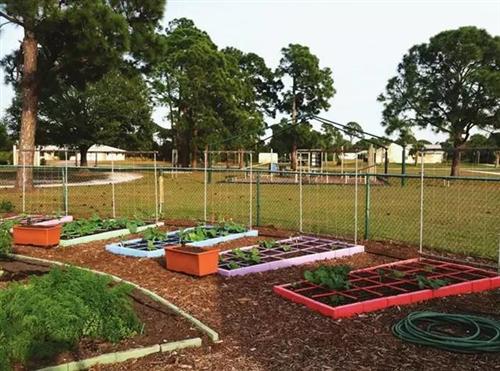 二月份全勤宝宝,将在大地幼儿园拥有"一米菜园"